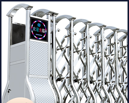 為了長(zhǎng)江重現(xiàn)江豚嬉戲