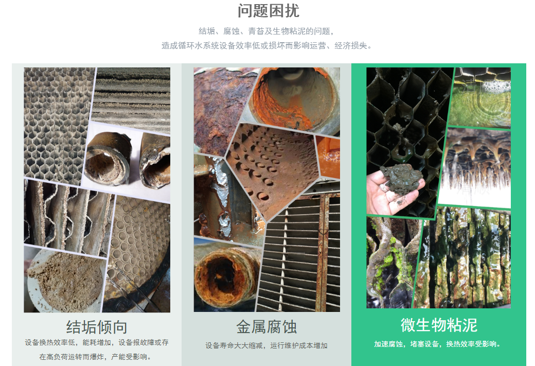 研發(fā)平臺(tái)(圖1) 研發(fā)平臺(tái)(圖1)